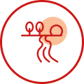 /images/icons/amenities_walking_path.webp