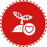 Plantation Lifestyle Development